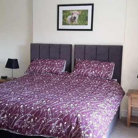Kilsham Farm-2